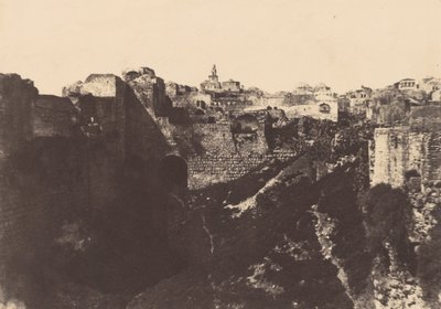 Jerusalem. Inhägnad av templet. Probatic pool 1 av Auguste Salzmann