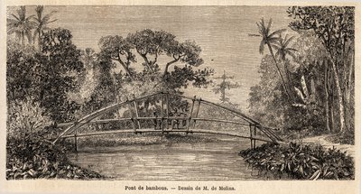 En bambubro, i djungeln, nära Salak Mountain. Teckning av M. de Molins, för att illustrera hans resa till Java av Auguste de Molins