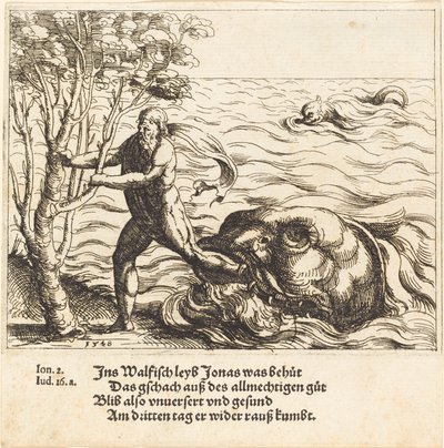 Jonas är befriad från valen, 1548. av Augustin Hirschvogel
