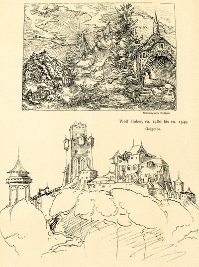 Naturstudie av Augustin Hirschvogel
