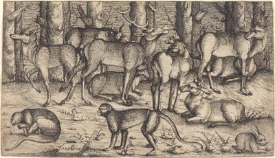 Hjortar i skogen av Augustin Hirschvogel