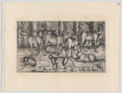Hjortar i skogen, 1545. av Augustin Hirschvogel
