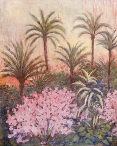 En palmlund i Murcia (färglitografi) av Augustine Fitzgerald