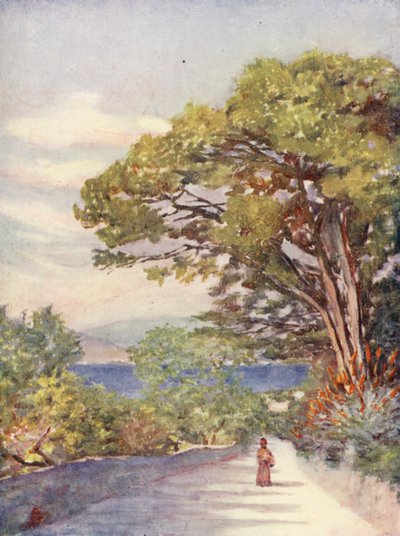 En väg i Gibraltar (färglitografi) av Augustine Fitzgerald