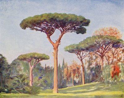 Rock Pines, Villa Floridiana (färglitografi) av Augustine Fitzgerald
