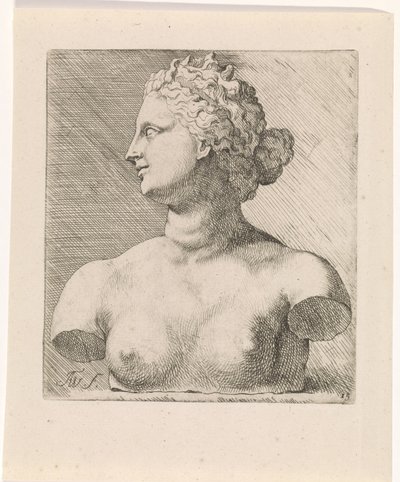 Byst av Venus de