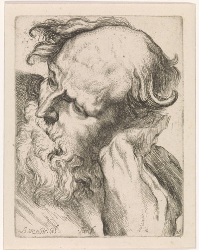 Chef för en gammal man (Joseph) Studier till en ritbok efter klassiska skulpturer och figurer av Anthony van Dyck (serietitel) av Augustinus Terwesten (I)