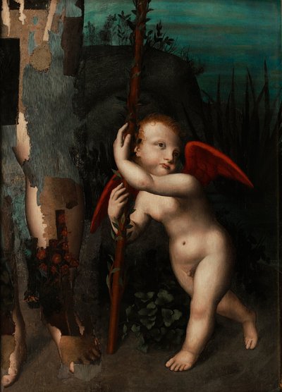 Amor med en myrten, före 1593 av Aurelio Luini