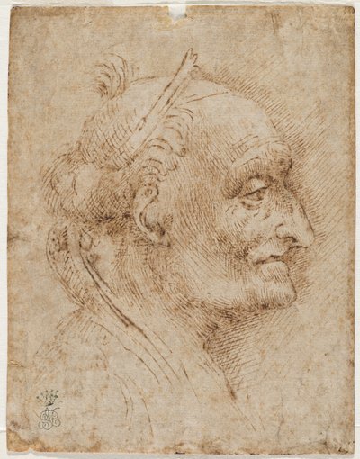 Gammalt valvhuvud till höger, 1500-talet (metallspets, kol, penna och bläck) av Aurelio Luini