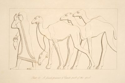 En kvinnlig fånge och kamel, illustration från Monuments of Nineveh, 1849 av Austen Henry Layard