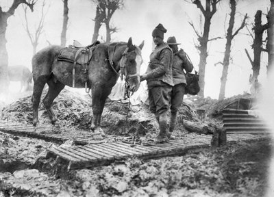 En artillerihäst som användes för att transportera ammunition till vapnen och dess oidentifierade australiensiska förare på en duckboardbana mellan Mametz och Montauban, december 1916 av Australian Photographer