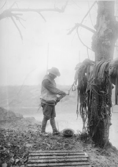 En oidentifierad australisk artilleriförare som rensar lera från sitt teams sele i ett ställ nära Mametz, december 1916 av Australian Photographer