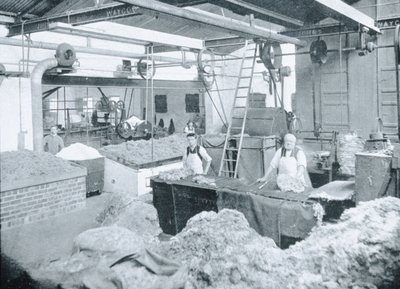 Interior of a Hat Mill, Victoria, ca. 1900, fra 