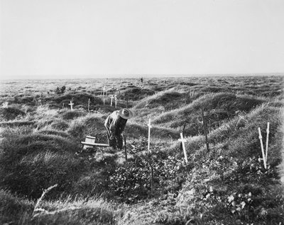 Utsikt över spridda australiska gravar längs OG1-linjen på slagfältet i Pozieres, 16 september 1917 av Australian Photographer