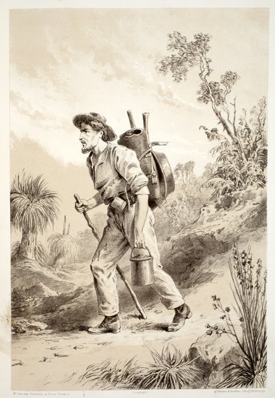 Digger on the Tramp, från The History of Australasia av David Blair, McGrady, Thomson och Niven, 1879 av Australian School