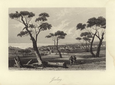Geelong av Australian School