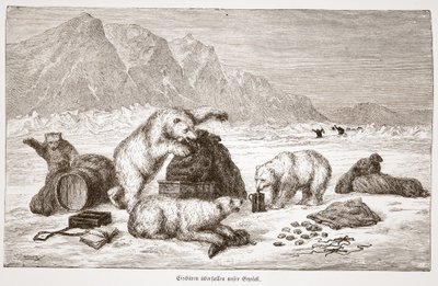 Isbjörnar attackerar vår bagagepub. Wien 1876 (gravyr) av Austrian School