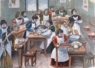 Kvinnliga studenter vid ett Anatomy Institute i New York, 1897 av Austrian School