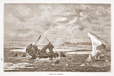 Slåss med valrossen, 1876 av Austrian School