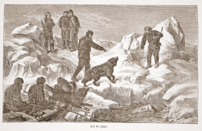 Jakt med hundar, 1876 av Austrian School