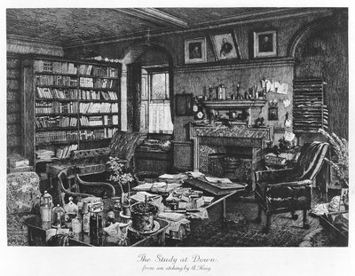 The Study at Down, pub. 1882 (gravyr) av Axel (after) Haig