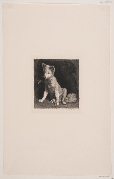 Hunden och biet av Axel Helsted