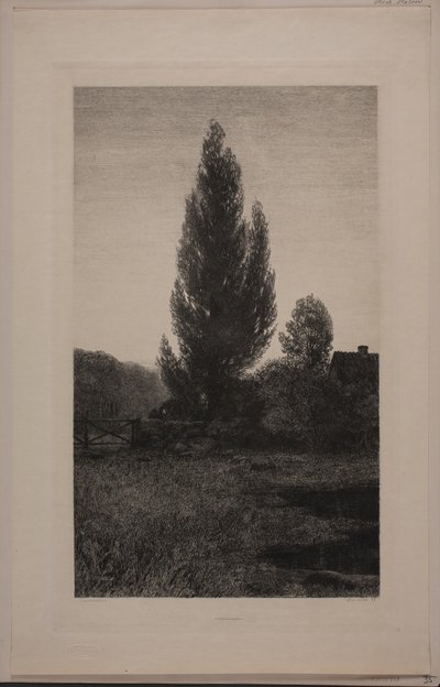 Sommarnatt av Axel Holm