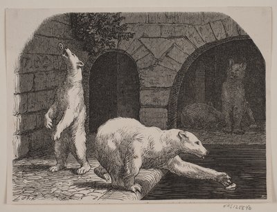 Björnar i Jardin des Plantes av Axel Theodor Kittendorff