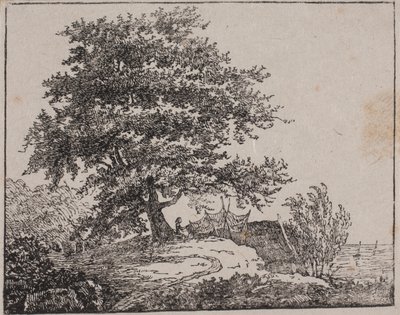 Träd på en klippa vid havet av Axel Theodor Kittendorff