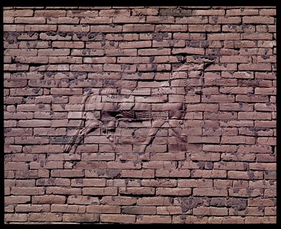 Detalj av en tjur, relief av Ishtar-porten, 580 f.Kr av Babylonian