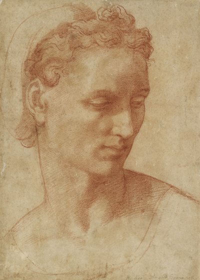Head of a Woman (krita på papper) av Baccio Bandinelli