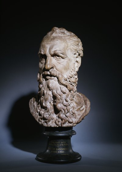 Studie av huvudet av Saint Paul, ca 1535 (terrakotta) av Baccio Bandinelli
