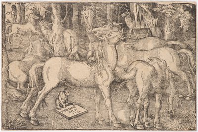 Grupp med sju hästar, 1534. av Baldung