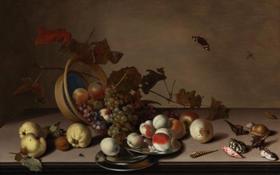 Fruktstilleben med flätad korg, musslor och fjäril, 1600-talets första hälft. av Balthasar van der Ast