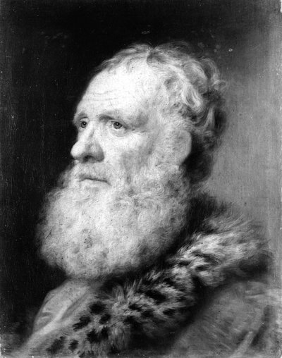 Huvud av en gammal man av Balthasar Denner