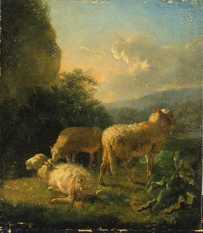 Får av Balthasar Paul Ommeganck