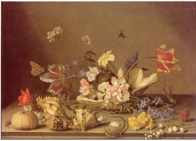 Stilleben med blommor och snäckor av Balthasar van der Ast