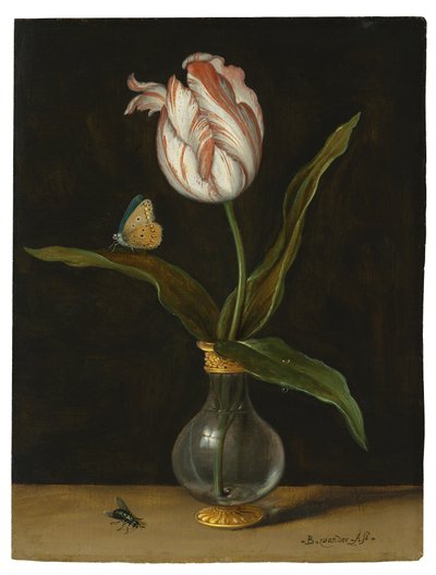 "Summer Beauty"-tulpanen (olja på duk) av Balthasar van der Ast