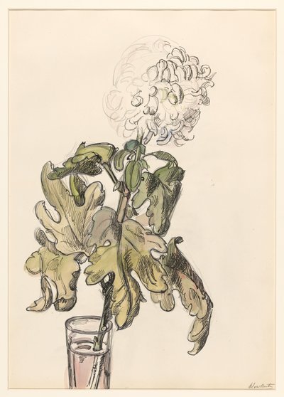 Blommande krysantemum, i en vas av Barbara Elisabeth van Houten