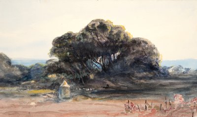 Landskap: Pine och Small Turret (akvarell och grafit på vävt papper) av Barbara Leigh Smith Bodichon