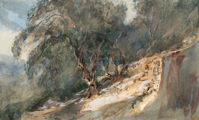 Landskap: Träd med knotiga stammar (akvarell och grafit på vävt papper) av Barbara Leigh Smith Bodichon
