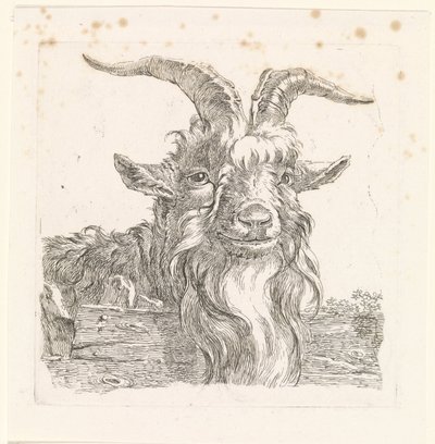Huvudet av en bock av Barend Hendrik Thier