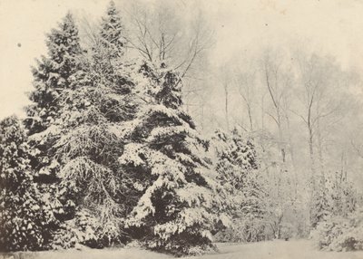 Landskap av granar under snön av Baron A. Fays