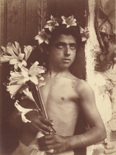 [Pojke med liljor] av Baron Wilhelm von Gloeden