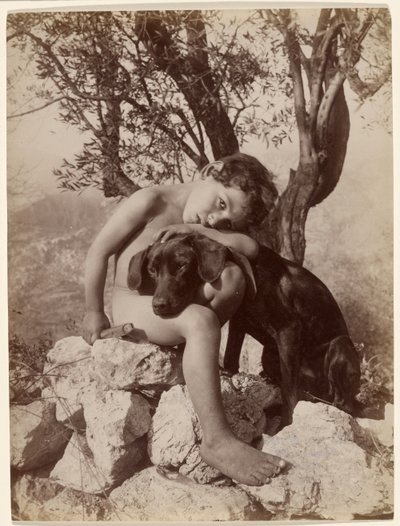 [Ung naken pojke och hund] av Baron Wilhelm von Gloeden