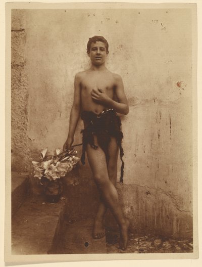 [Ungdom med liljor] av Baron Wilhelm von Gloeden