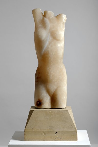 Torso av Barry Hart