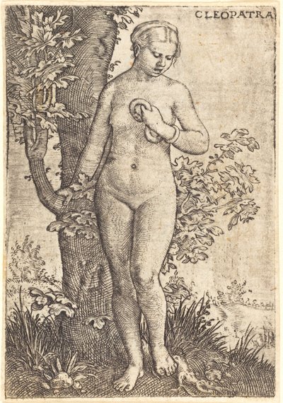Cleopatra av Barthel Beham
