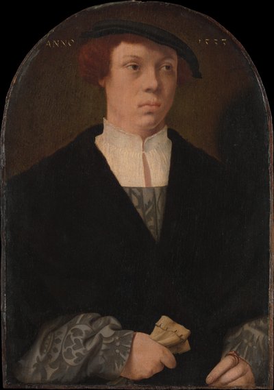 Porträtt av en man, 1533. av Bartholomaeus Bruyn the Elder