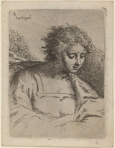 Halvlängd figurläsning av Bartholomäus Ignaz Weiss